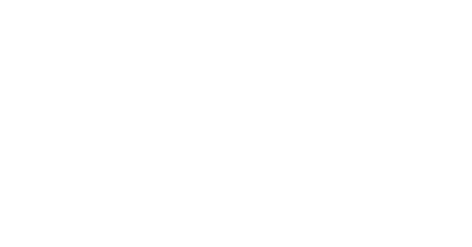 Voyage Advisory